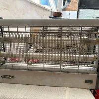 پشه ومگس کش برقی