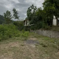 زمین مسکونی داخل جنگل لوندویل