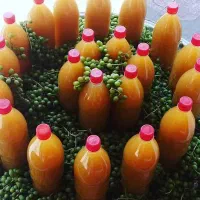 آبغوره طبیعی