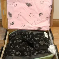 کفش نایک جردن وان رترو کاز مشکی|کیف، کفش، کمربند|رشت, منظریه|دیوار