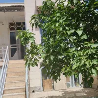 دربست دو طبقه مستقل بین ابراهیمی و مجلسی|اجارهٔ خانه و ویلا|مشهد, فاطمیه|دیوار