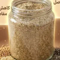پودر استخوان ساز
