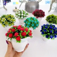 گل و گلدان شمشاد