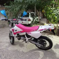 دیتی زین دوشاخ