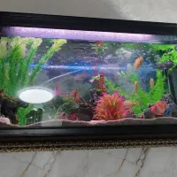 آکواریوم بزرگ بالوازم