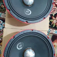 میدرنج سایز۱۰|صوتی و تصویری|شهریار, شهریار|دیوار