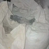 کودکبوتروحشی یه تن