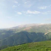 مشورت