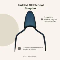 سیسی بار و تکیه گاه هارلی C2 بندا اونجر QJ آکوییلا|قطعات یدکی و لوازم جانبی|تهران, گمرک|دیوار