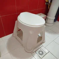 توالت فرنگی