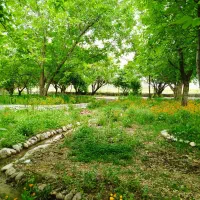 سوییت اجاره‌ای