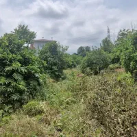 زمین مسکونی ۱۵۰۰متری در سیاهکلرود|فروش زمین و ملک کلنگی|چابکسر, |دیوار