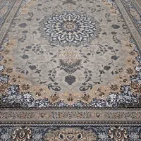 فرش دلفینی ۱۲ متری|فرش|کرج, گلشهر|دیوار