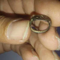 مهره گبری،نشان|کلکسیون اشیاء عتیقه|شیراز, امام حسین|دیوار