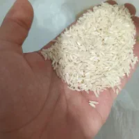 برنج طارم هاشمی