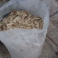 نان خشک|لوازم جانبی حیوانات|باوی, |دیوار