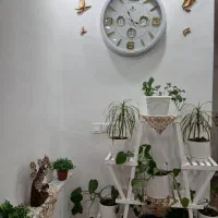 یک عدد استندگل