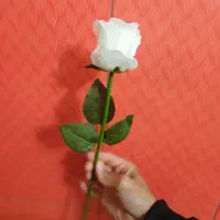 سبد گل ، انواع گل مصنوعی ، شاخه ای ، کادویی|گل مصنوعی|تولم شهر, |دیوار