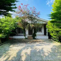 81/خونه مــادر بزرگه۲۳۰متری/۳دقیقه فاصله تا جنگل