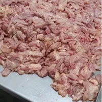 خورده گیر مرغ