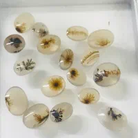 مجموعه بسیار زیبا گوهر سنگهای قیمتی ونیمه قیمتی|جواهرات|پرند, فاز ۱|دیوار