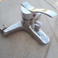 یک عدد شیر دوقلو اصل