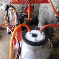 شیردوش گاو|لوازم جانبی حیوانات|نیشابور, مازول|دیوار