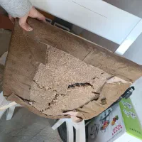 میز ناهارخوری چهار نفره|میز و صندلی غذاخوری|تربت جام, مطهری|دیوار