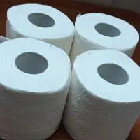 دستمال توالت تنو