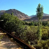 فروش-زمین