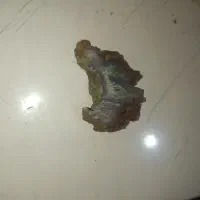 سنگ شجردریایی تراش نخورده