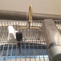 قلاب آویز دستگیره قفس سهره قناری همه سایزی|لوازم جانبی حیوانات|قرچک, باقرآباد|دیوار