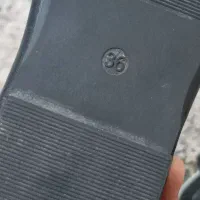 کفش|کفش و لباس بچه|بندرعباس, |دیوار