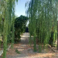 10-هکتار-به-بالا-استان-البرز