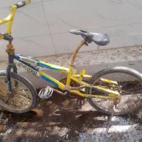 دوچرخه حرفه ای