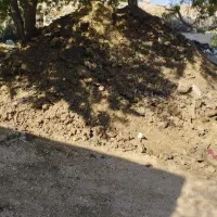 کود حیوانی