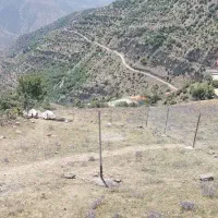 فروش زمین در الاشت در موقعیت مکانی عالی و ویو عالی