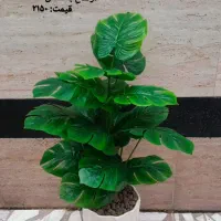 برگ انجیلی مصنوعی ظاهر کاملآ طبیعی و شیک