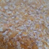 گندم آبی و دیم درجه  یک۵۶۰۰۰ بلغور ذرت