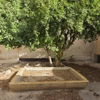 خانه-مسکونی-قدیمی