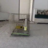 قفس پرنده