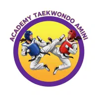 آموزش تخصصی تکواندو بانوان