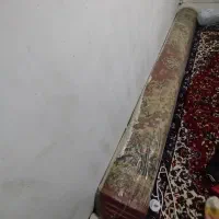 قالی|فرش|ازنا, |دیوار