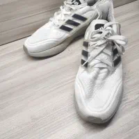 کفش آدیداس|کیف، کفش، کمربند|مرند, |دیوار