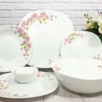 سرویس پذیرایی ارکوپال