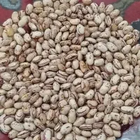 لوبیا چیتی
