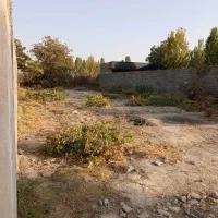 ۵۰۰مترباغچه سهیلیه سنقرآباد خیابان بنفشه