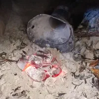 زغال اصل لیمو وشش ضلعی پسته