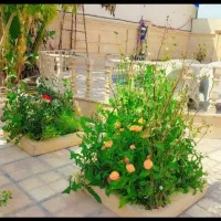 فردش باغ ویلای لاکچری دزفول|فروش خانه و ویلا|اهواز, کوی نیرو|دیوار