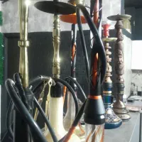 یدونه نارنجی مونده